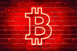 BTC Map logo