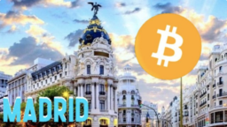 BTC Map logo