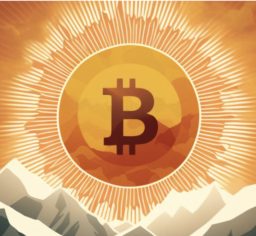 BTC Map logo