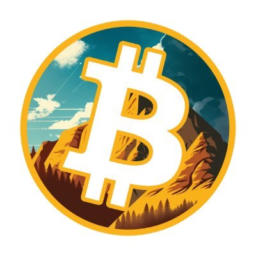 BTC Map logo