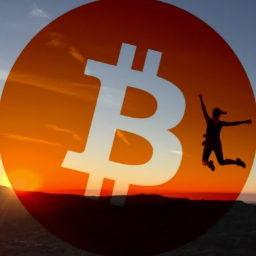 BTC Map logo