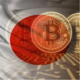 BTC Map logo