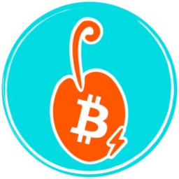 BTC Map logo
