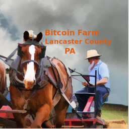 BTC Map logo