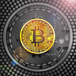 BTC Map logo